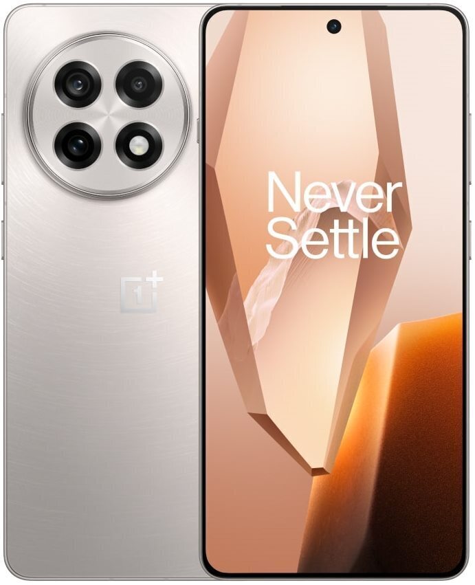 OnePlus 13R 12/256Gb Серебристый 5G