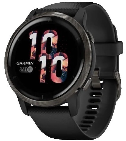 Garmin Venu 2 Черный (010-02430-11)