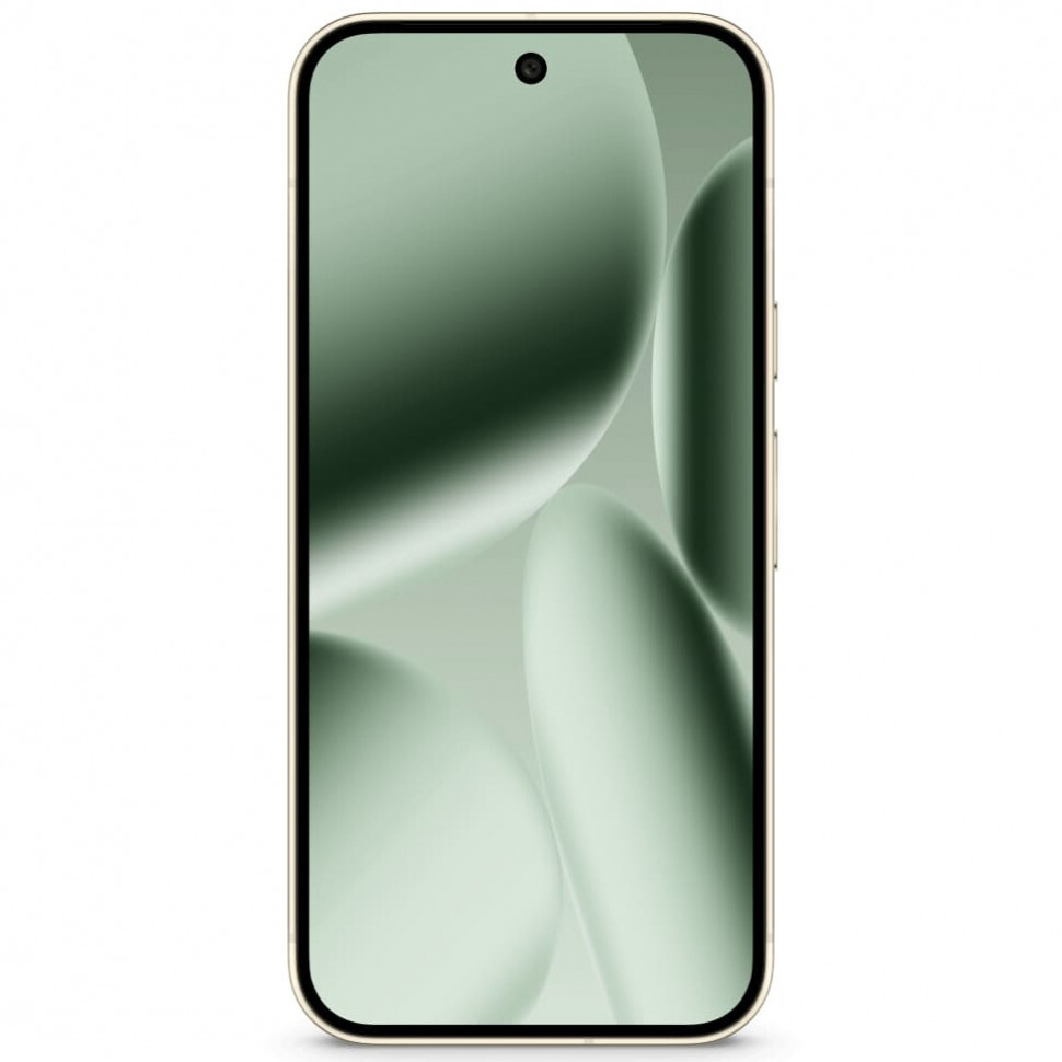 Google Pixel 10 Pro 16/256Gb Мятный 5G