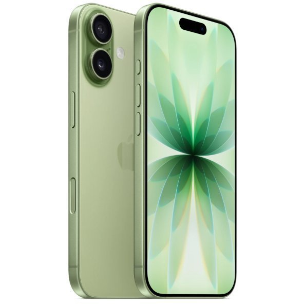 iPhone 17 512Gb Зеленый 1SIM